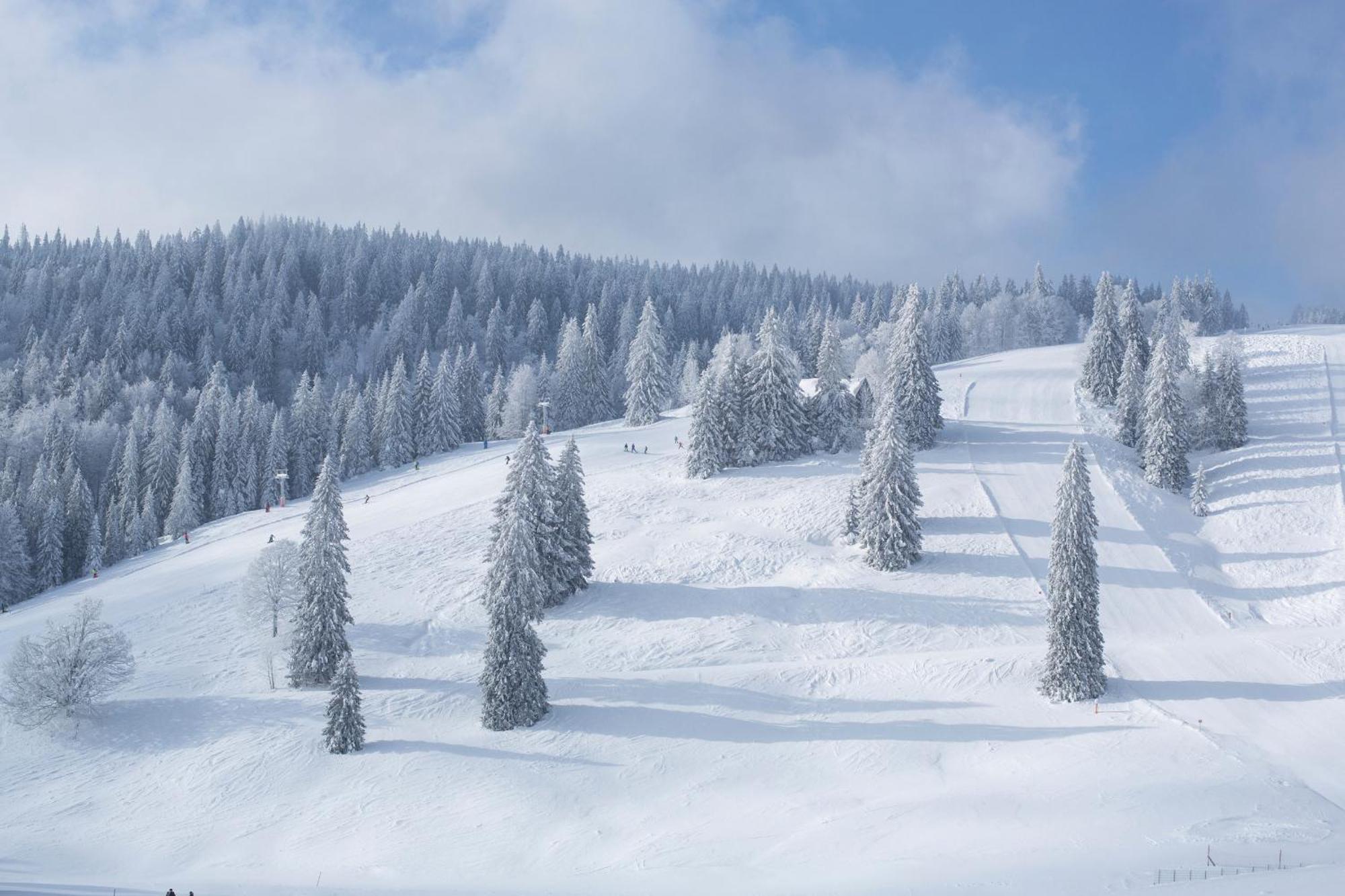 Ferienwohnung Schneelehner, 2-Schlafzimmer, Feldberg Feldberg  Exteriör bild